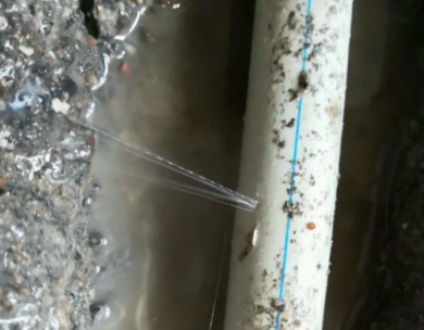 进贤测漏水哪家好