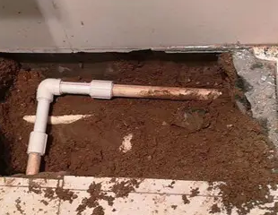 进贤测漏水哪家好