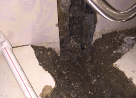 进贤卫生间测漏水哪家好