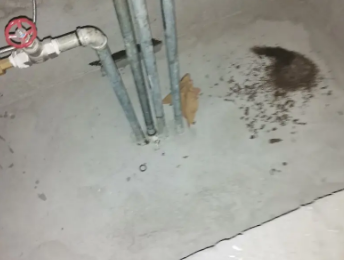 进贤卫生间测漏水价格明细