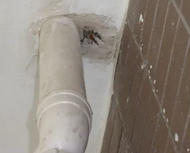 进贤漏水检测哪家好